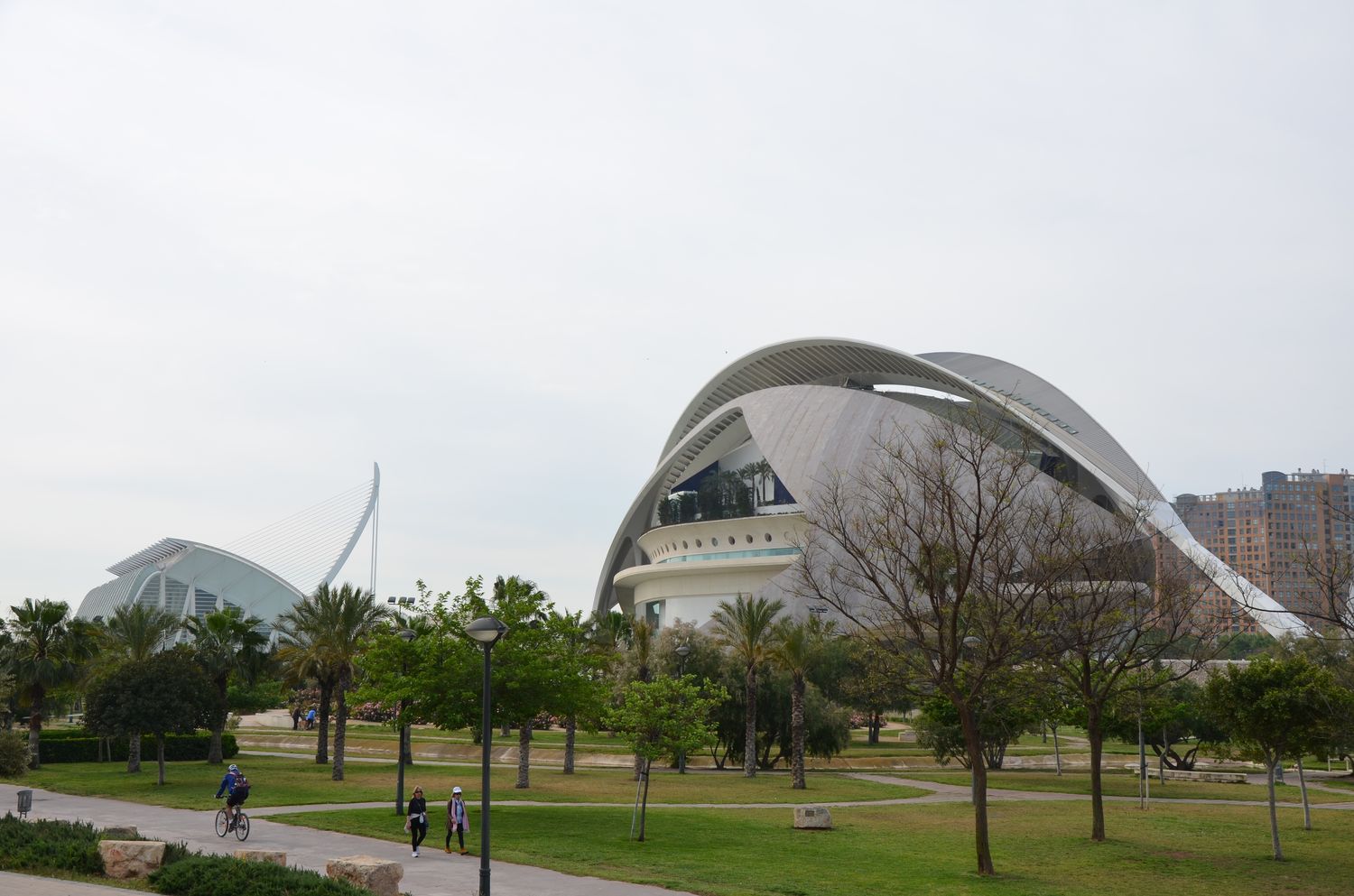 Valencia, la Città della Scienza, Santiago Calatrava